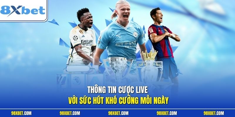 Thông tin cược live với sức hút khó cưỡng mỗi ngày